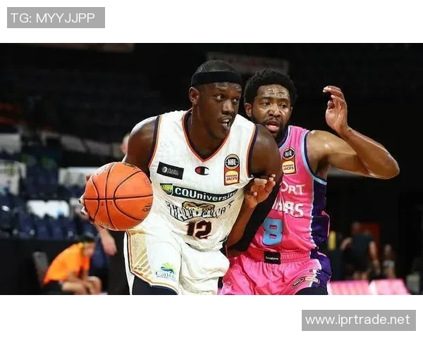 跳伞蚁官方:斯托达特脚踝受伤赛季报销 跳伞蚁官方:斯托达特脚踝受伤赛季报销